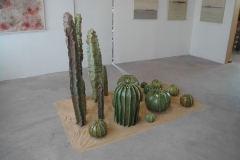 cactus-nov2009-02